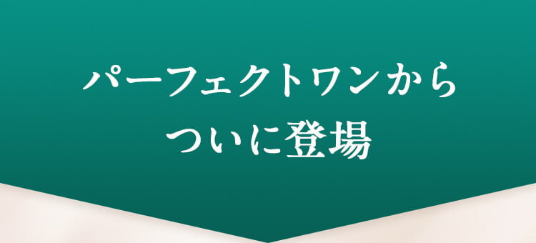 パーフェクトワンからついに登場